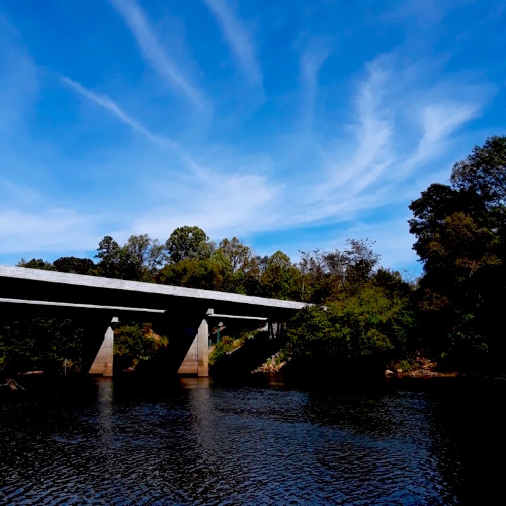 Lake Allatoona Georgia: Look up ⬆️